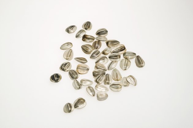 Sunflower seeds