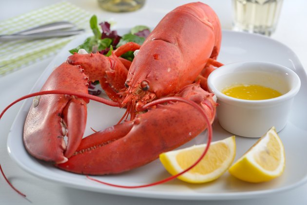 Lobster
