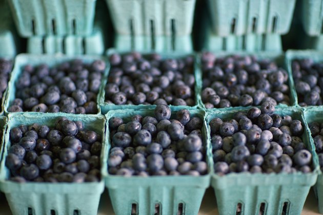 Blueberries in Cartons