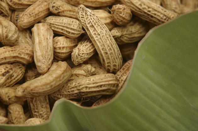 Pile of peanuts
