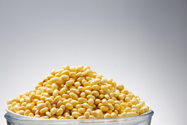 Soybean