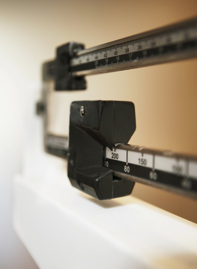 Closeup of a Scale