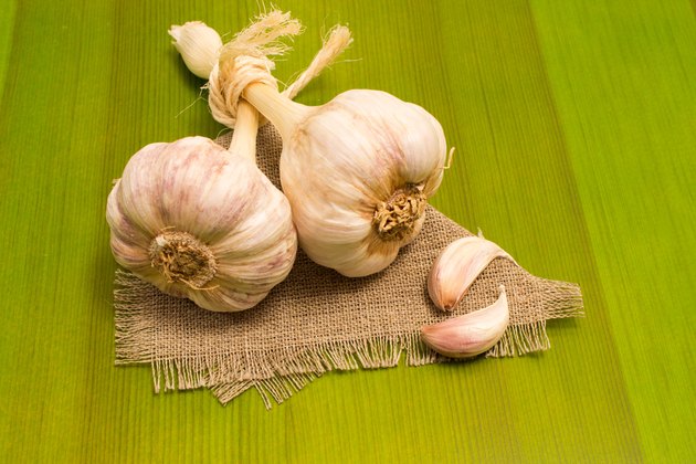 fresh garlic on green board close up