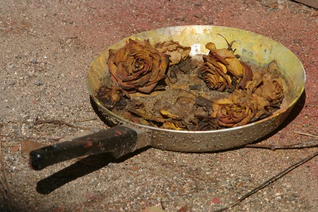 Fried roses