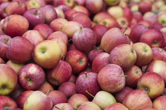 Hundreds of apples