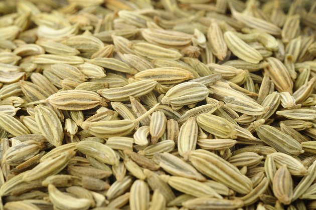 fennel seeds background