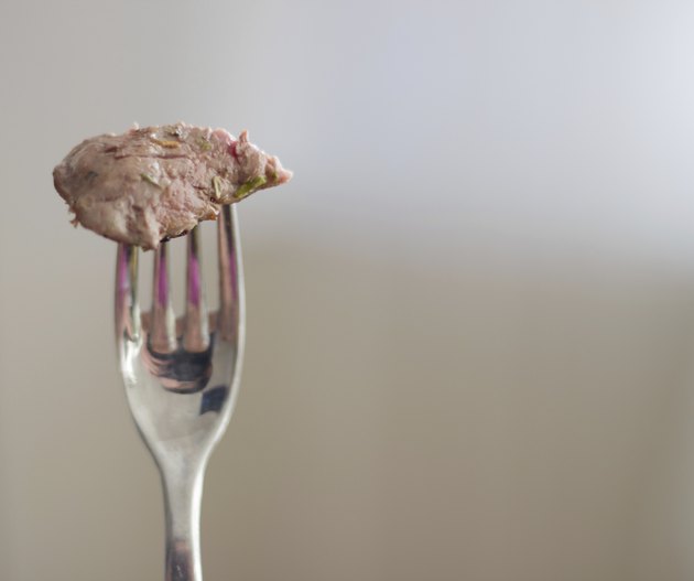 Horsemeat on a Fork