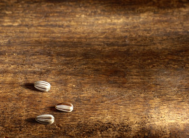 Three Sunflower Seeds