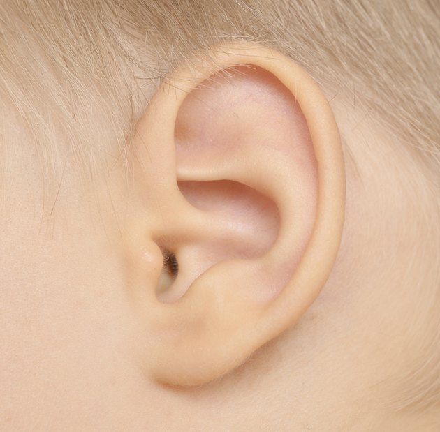 baby ear