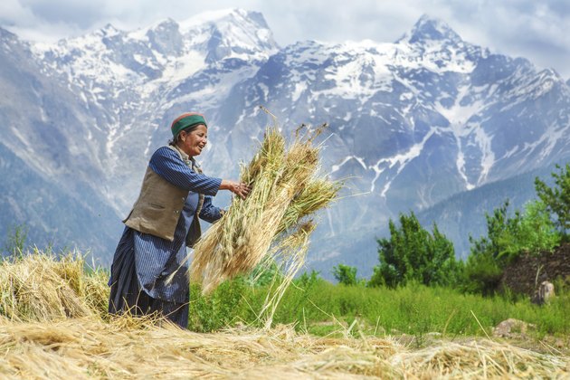Agricultural time