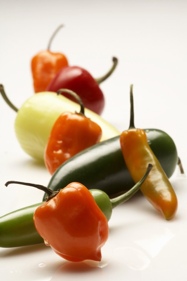 Close-up of chili peppers