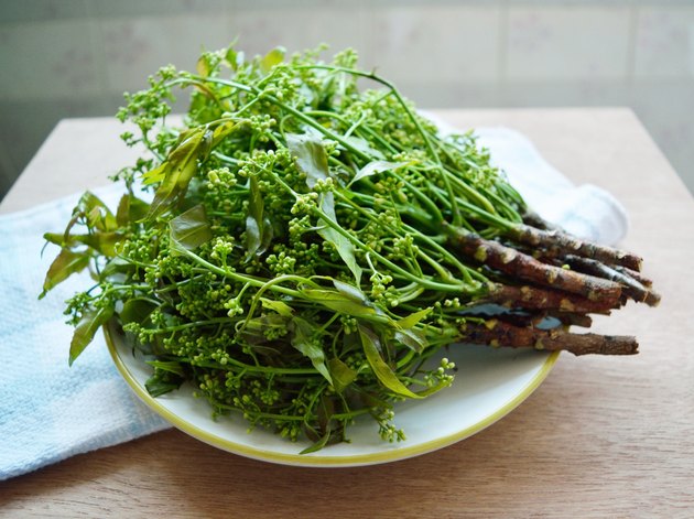 Neem leaves and flowers on a plate