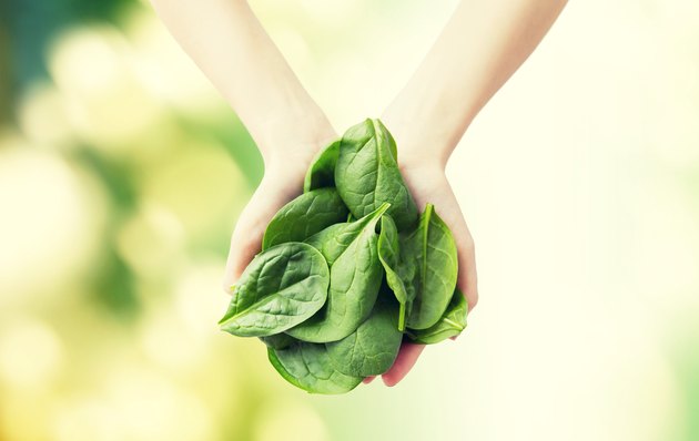close up of woman hands holding spinach