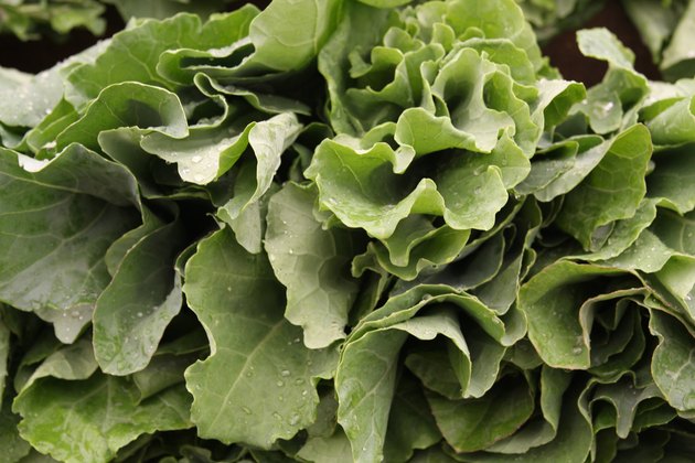 Spinach