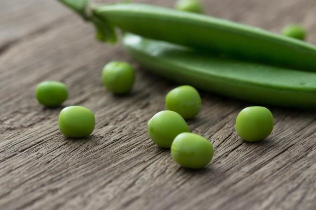 Sugar Pea setup on wooden background.