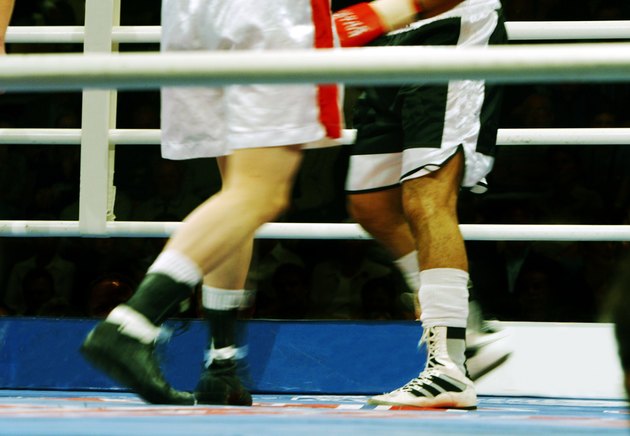 the fight