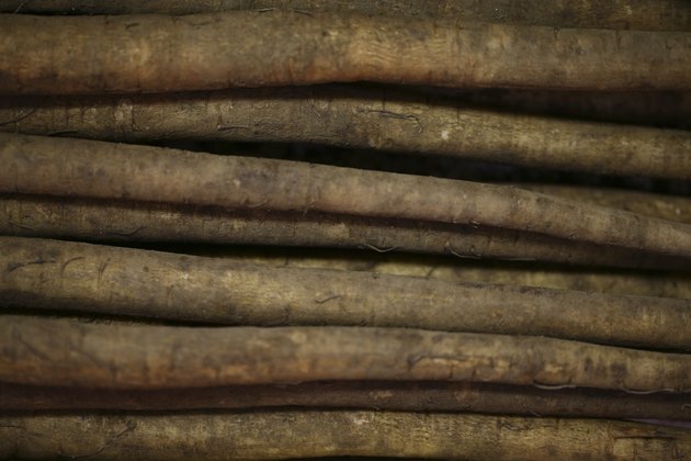 Great Burdock Roots
