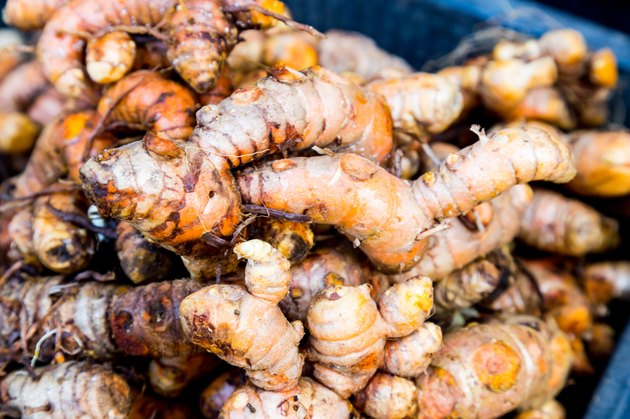 Heaps of freshly harvested turmeric roots