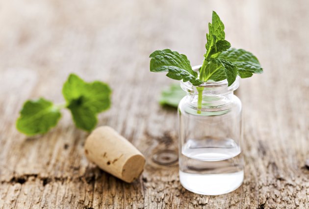 mint oil