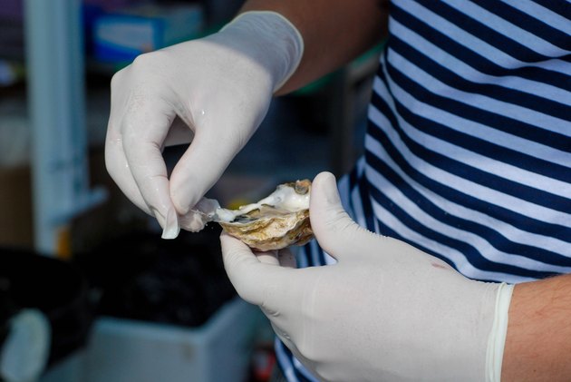 oysters