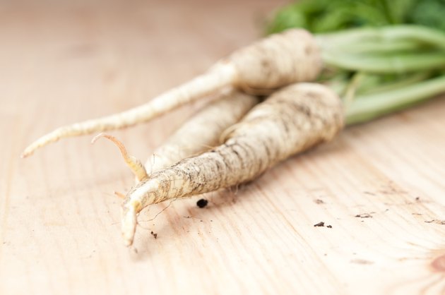 Fresh parsley root