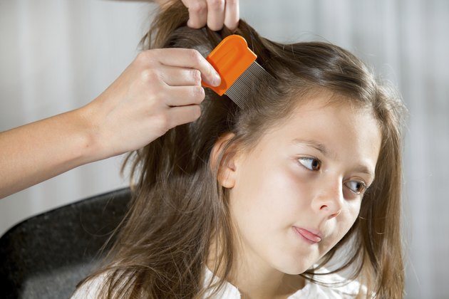Mother using a comb to look for head lice