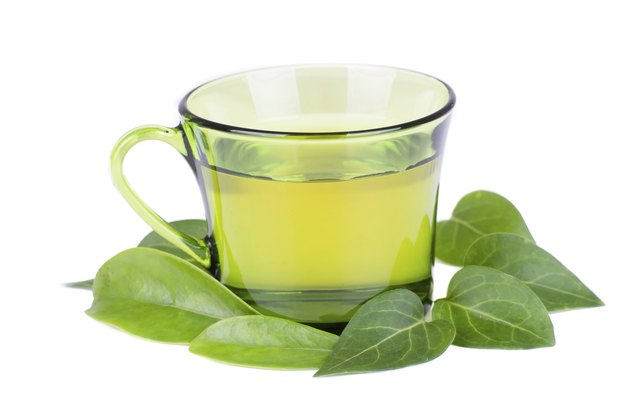 glass cup with fresh green tea leaves