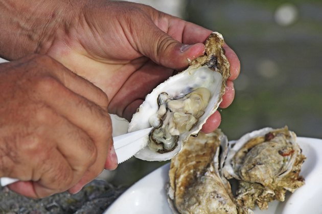 Fresh oysters