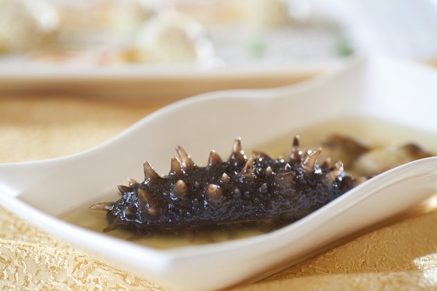 Sea Cucumber