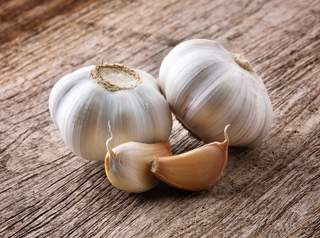Organic garlic whole and cloves on the wooden background