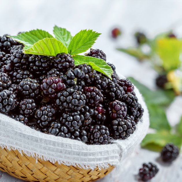 Blackberry
