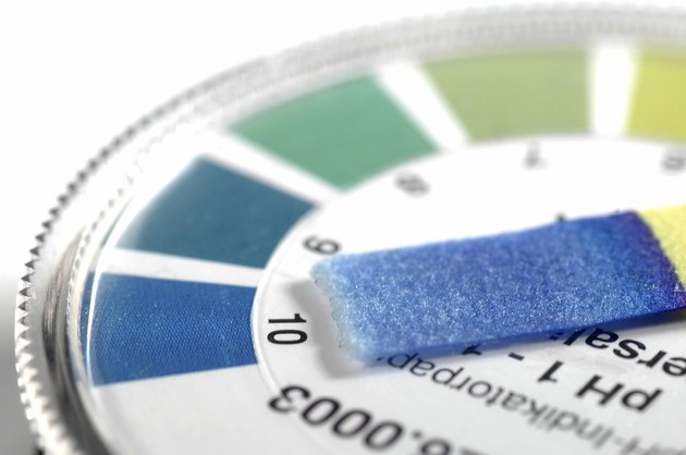 Alkaline Testing