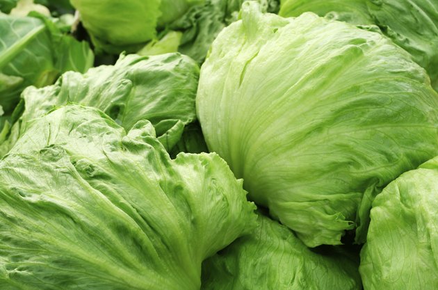 Iceberg lettuce