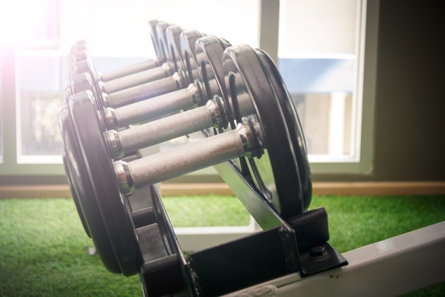 dumbbell in gym