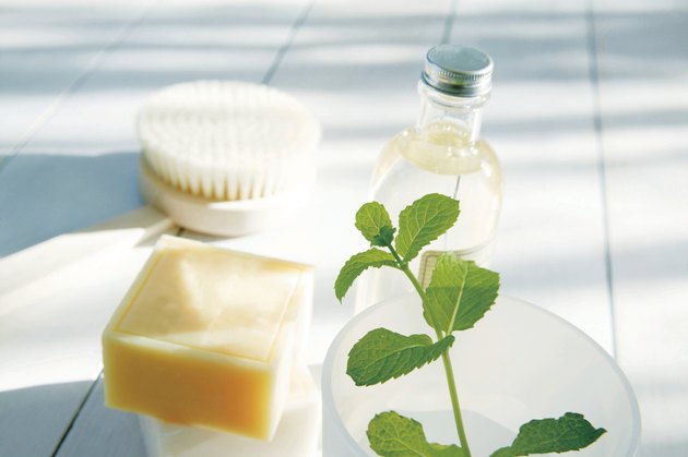 Bars of soap and body brush next to potted plant
