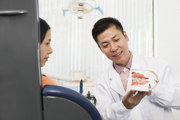 Dentist Showing Model Of Teeth To Female Patient