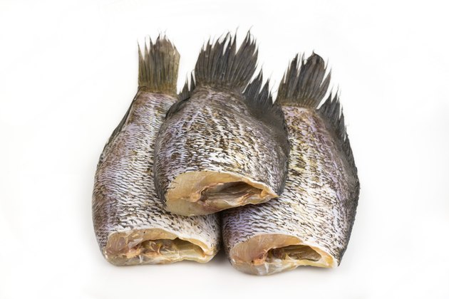 dried fish