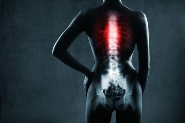 Human spine in x-ray, on gray background. The chest spine is highlighted by red colour.