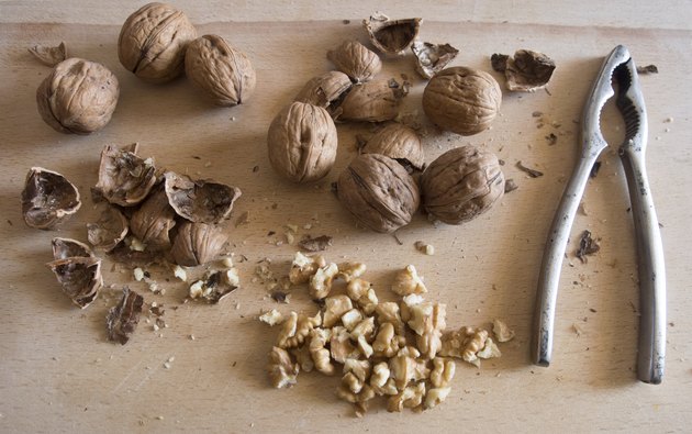 Walnuts and nutcracker. Fruit passion