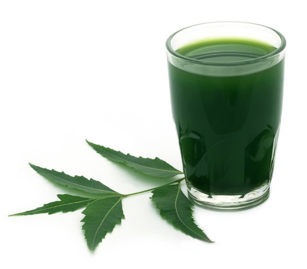 Medicinal neem leaves with extract