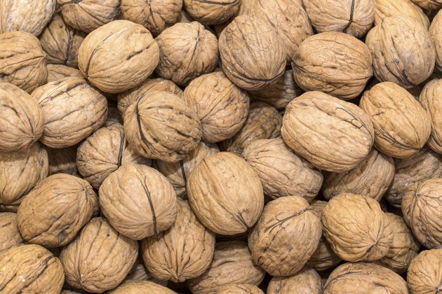 walnut