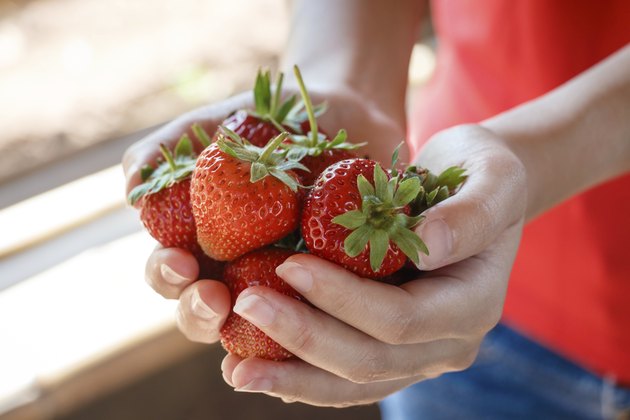 Fresh strawberries picked from a strawberry farm