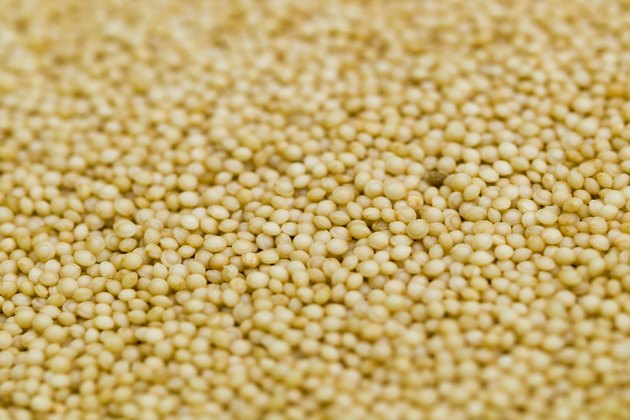 Grains With the Highest Protein | Livestrong.com