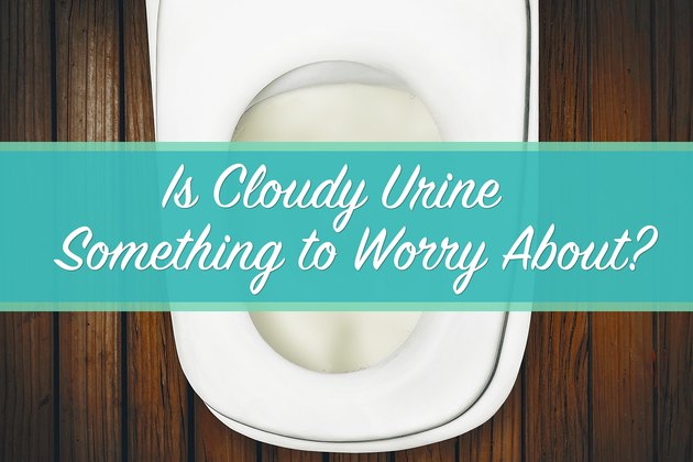 Is Cloudy Urine Something To Worry About Livestrong