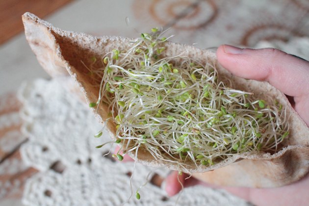 how-to-eat-alfalfa-sprouts-livestrong