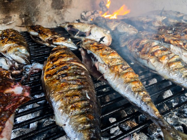 carnivore all-meat diet