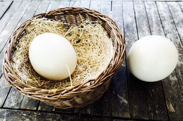 Nutritional Facts on Ostrich Eggs