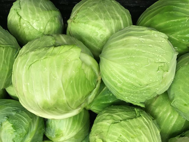 Cabbages