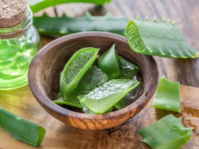 Fresh aloe leaves and aloe gel in the cosmetic jar.