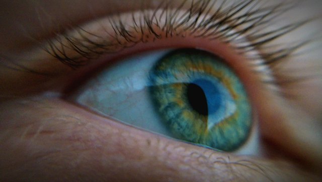 Extreme Close-Up Of Human Eye